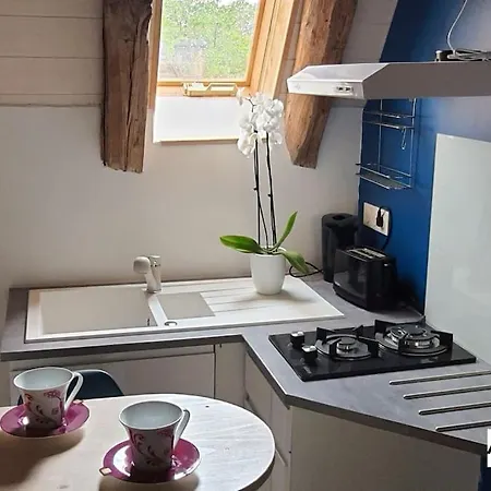 Le Gros Chene, Du Xviii Siecle, Jacuzzi Privatif *